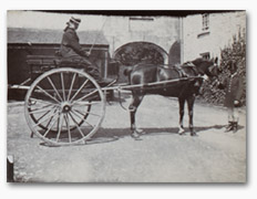 Photograph of Helen Agnes Post at Fota House, Ireland (1900), Port Eliot Collection